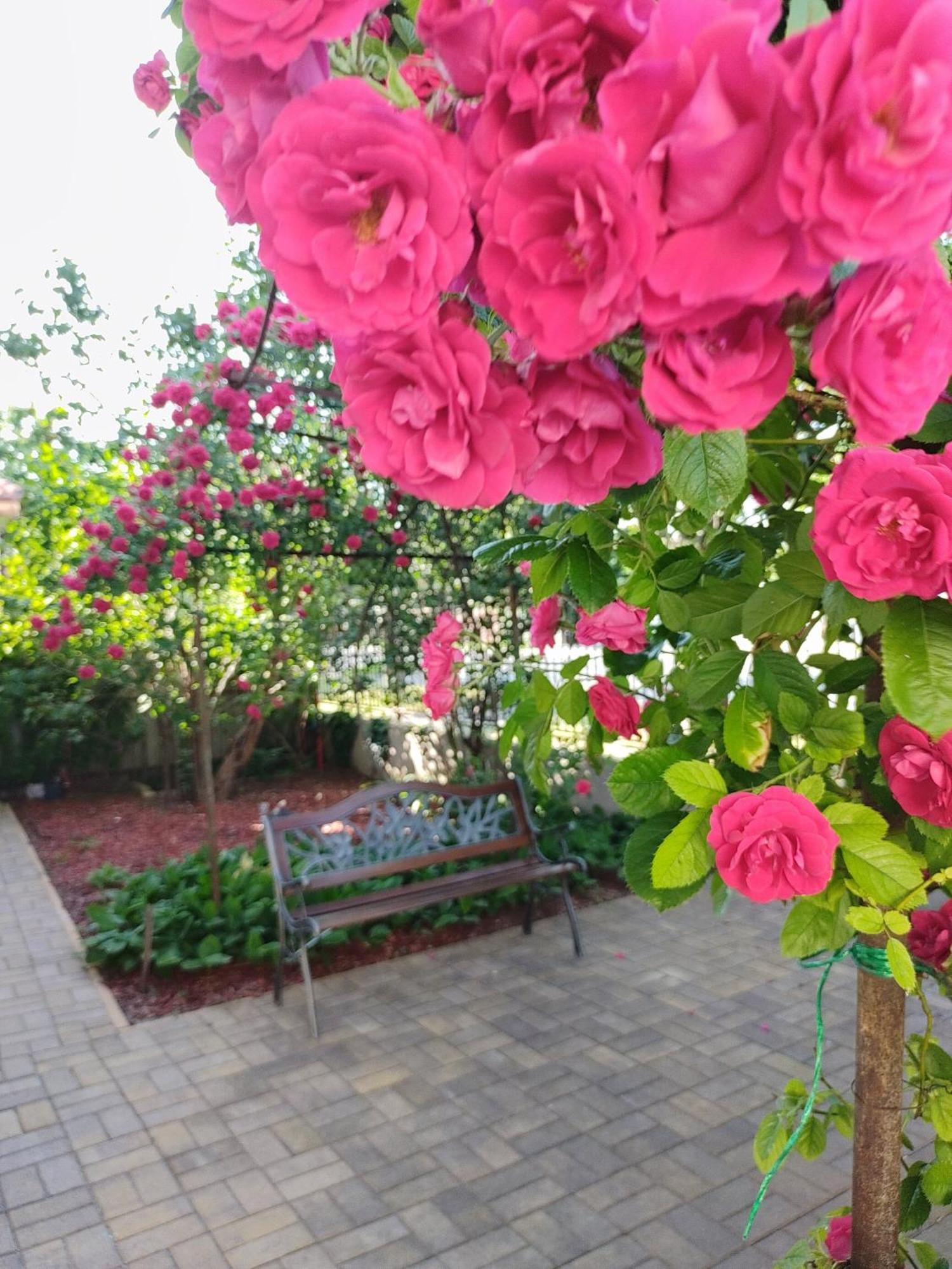 Berta Panzio Bed and Breakfast Hajdúszoboszló Εξωτερικό φωτογραφία